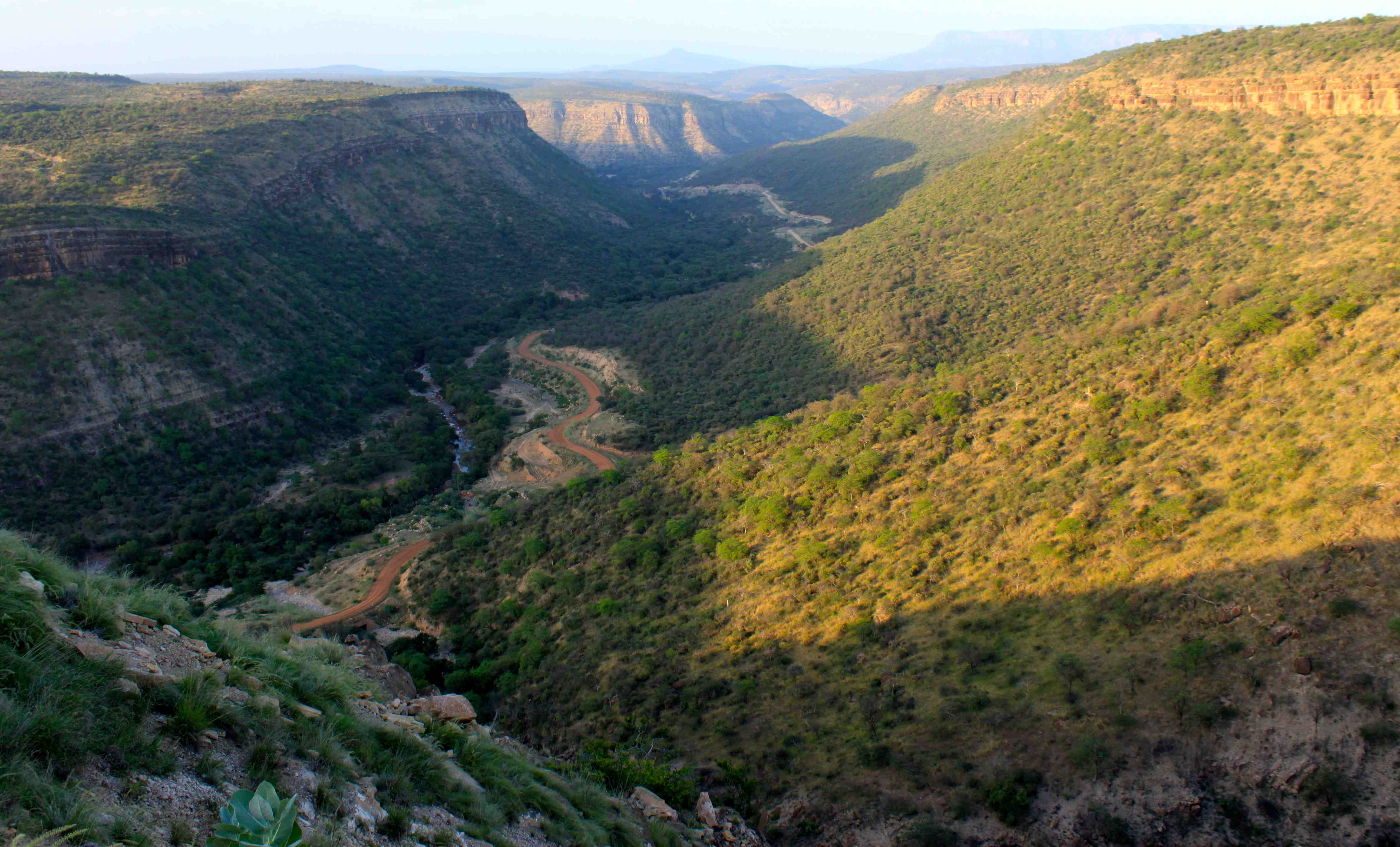 Wabe Bale Mountains National Park Ethiopia